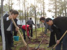 清明节植树