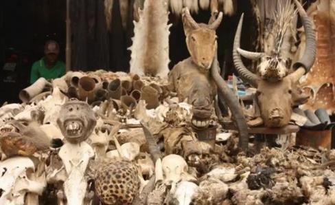 全球最变态的10个地方，你绝对不敢去！